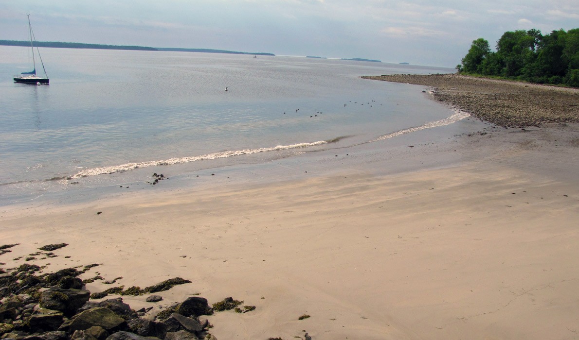 A beach in the Midcoast.