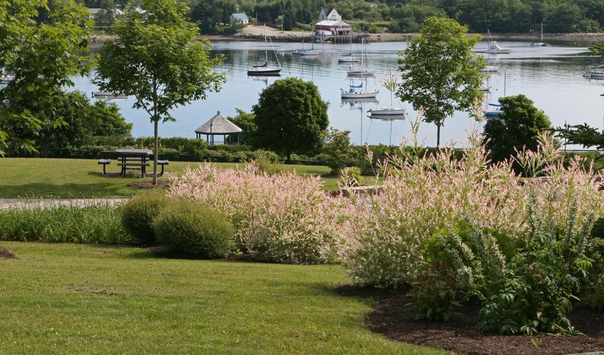 A small public park space in North Haven.