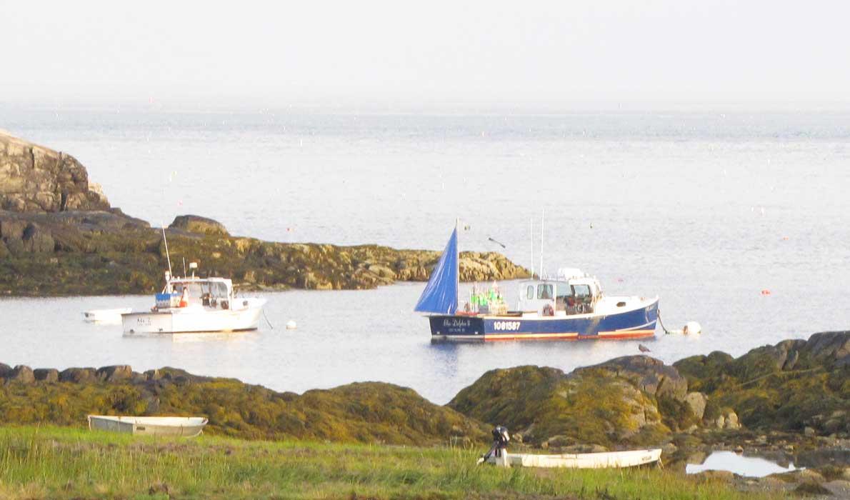 Boats in a cove on Long Island