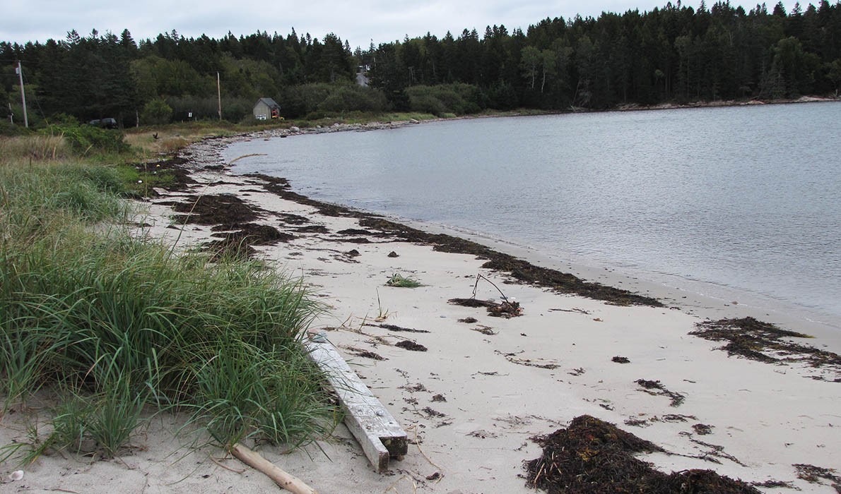 The carrying place beach on Swan's Island.