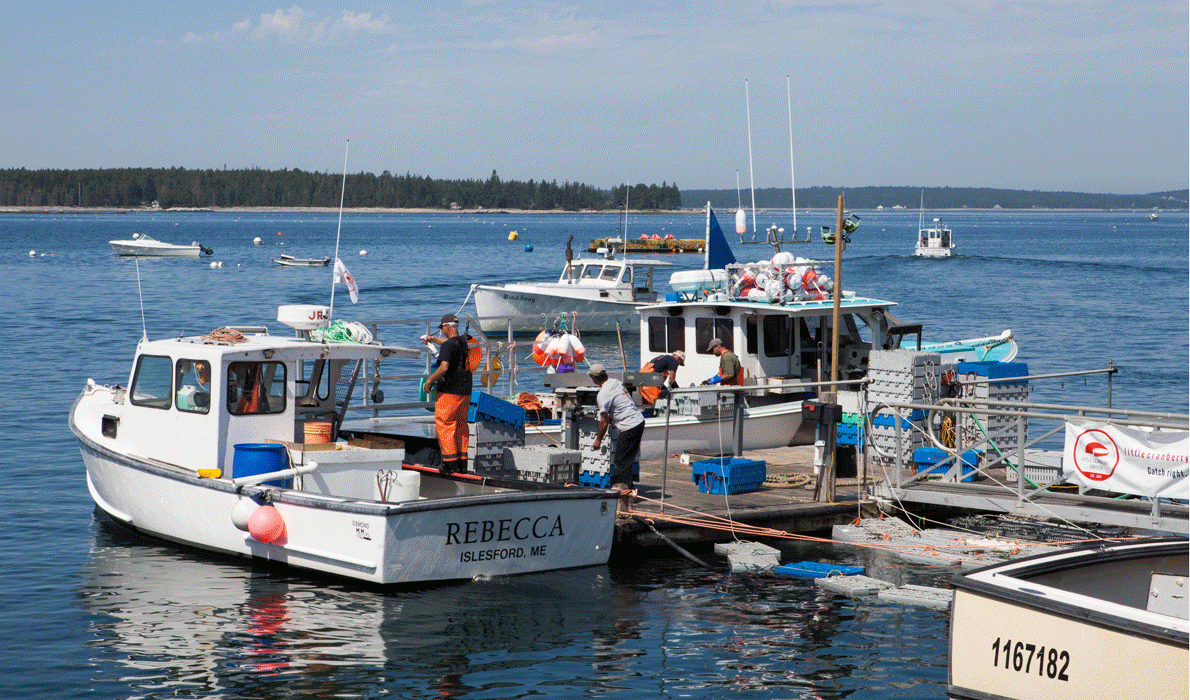 The waterfront on Islesford is busy in summer.