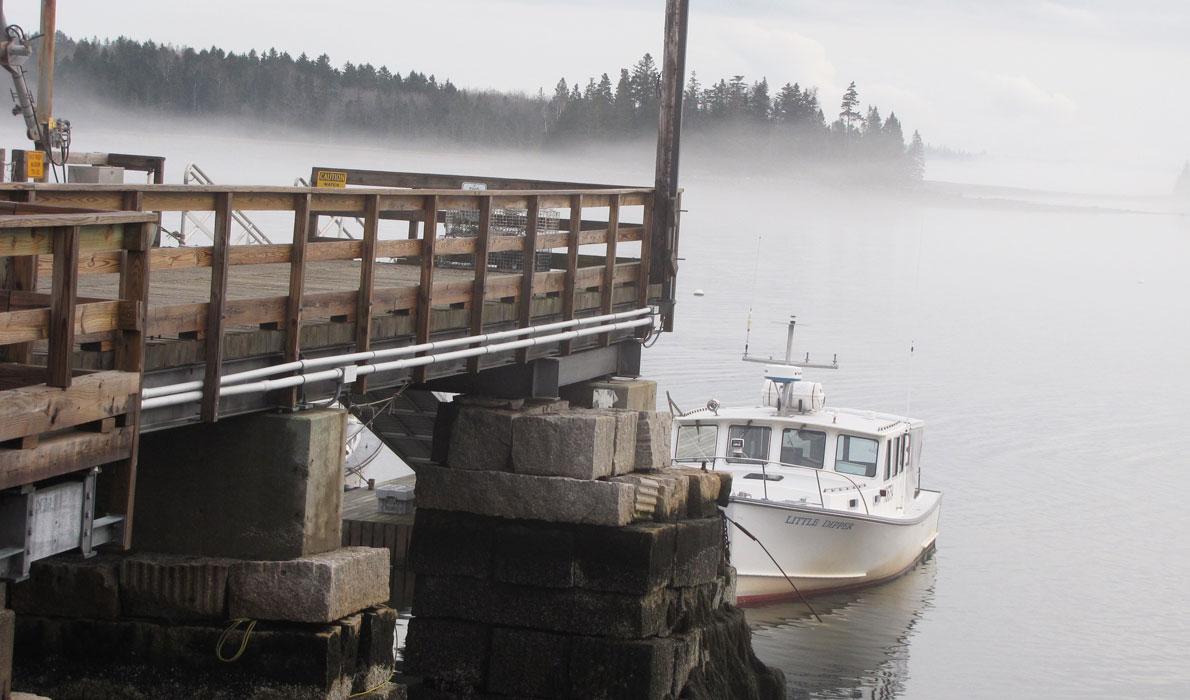 Foggy day on Islesboro