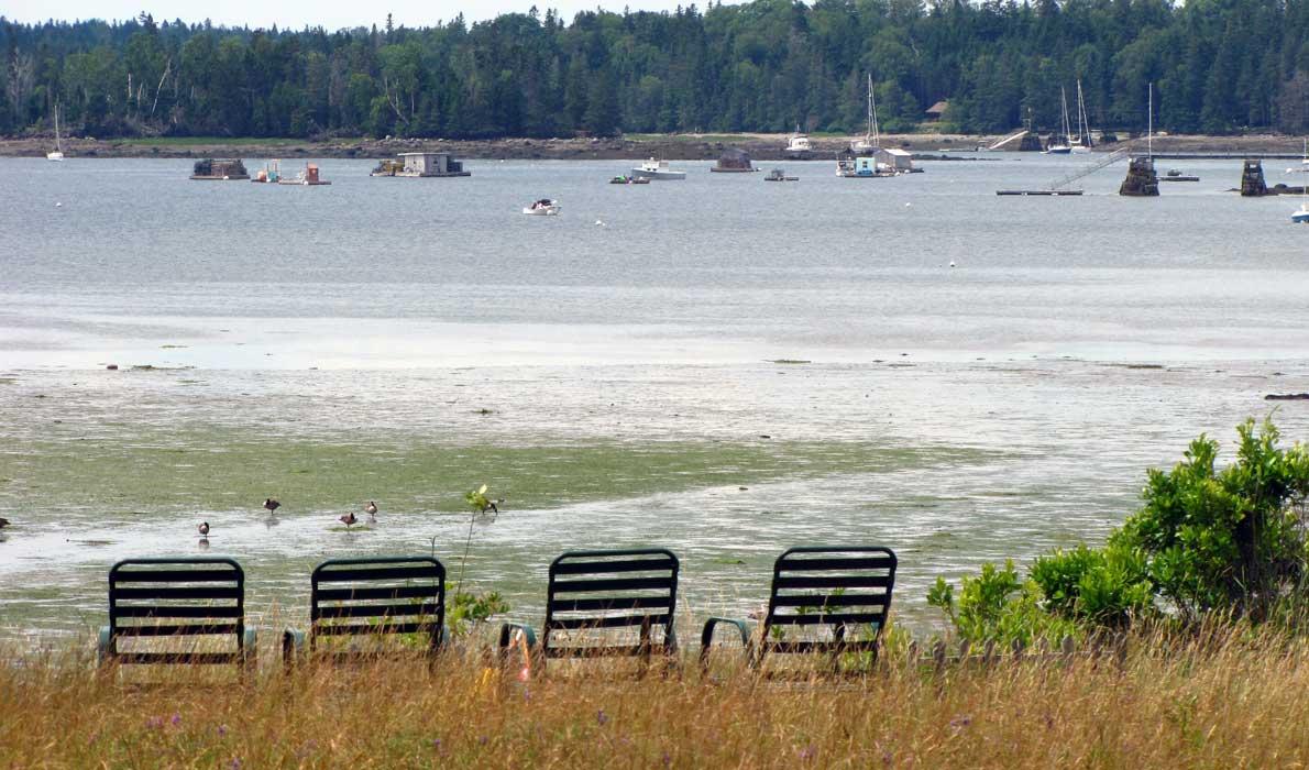 Islesboro chairs