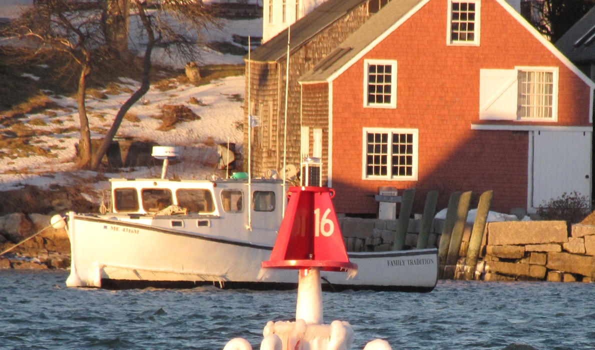 Frozen buoy