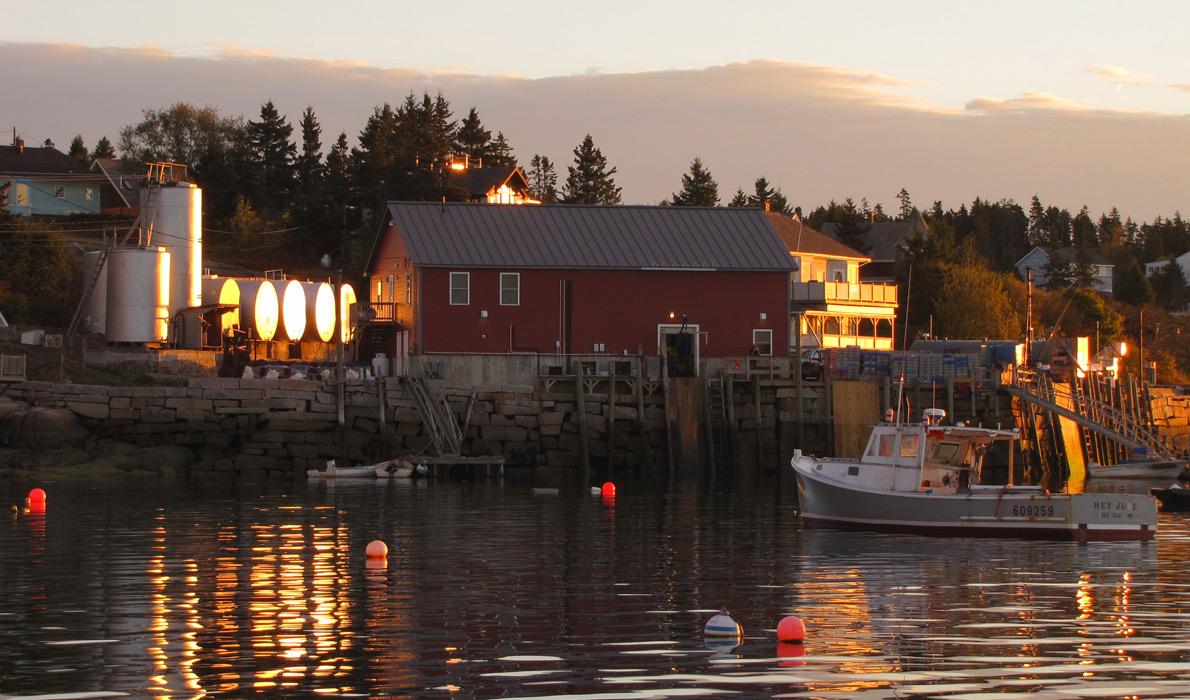 Stonington harbor at dawn