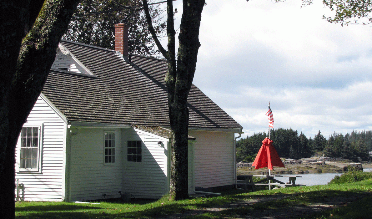 House, tree and shadows