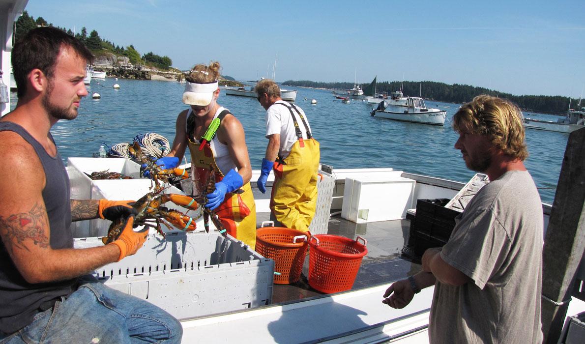 Unloading the catch in Stonington.