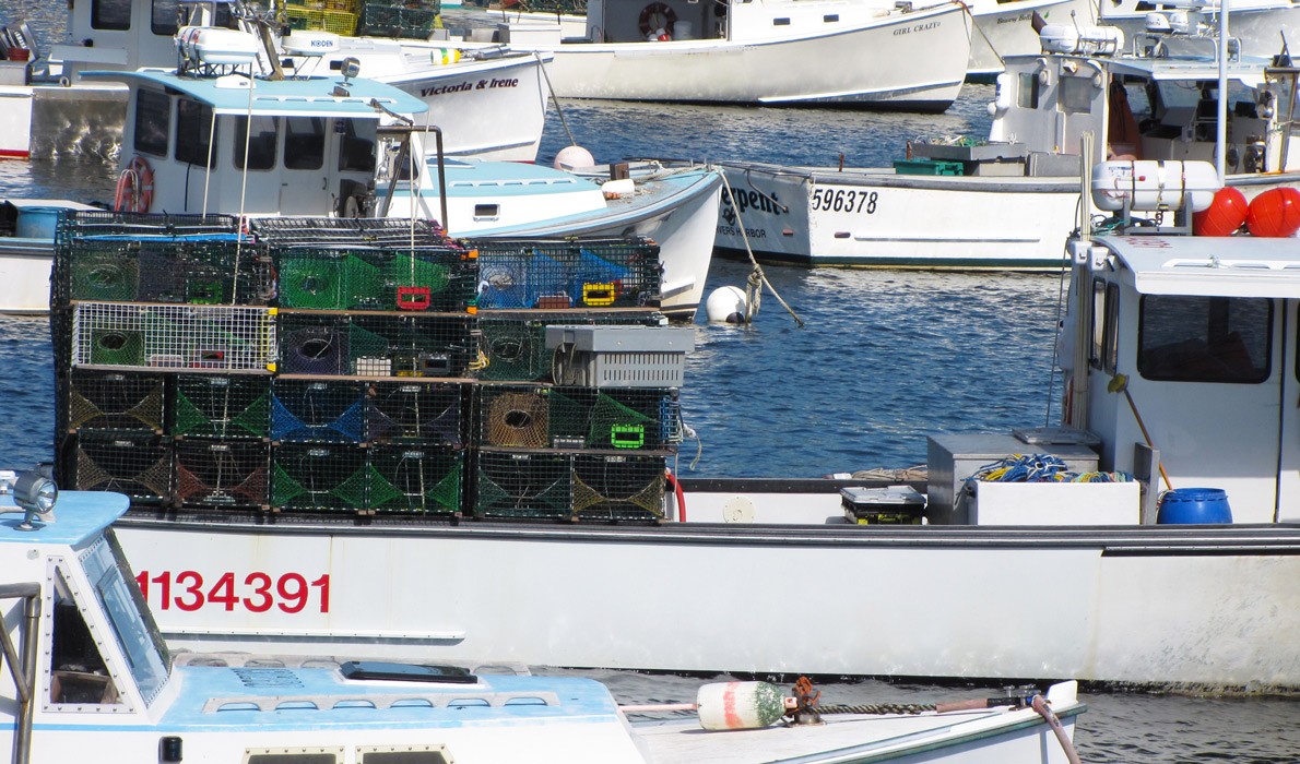 Lobster boats in Vinalhaven's Carver's Harbor.