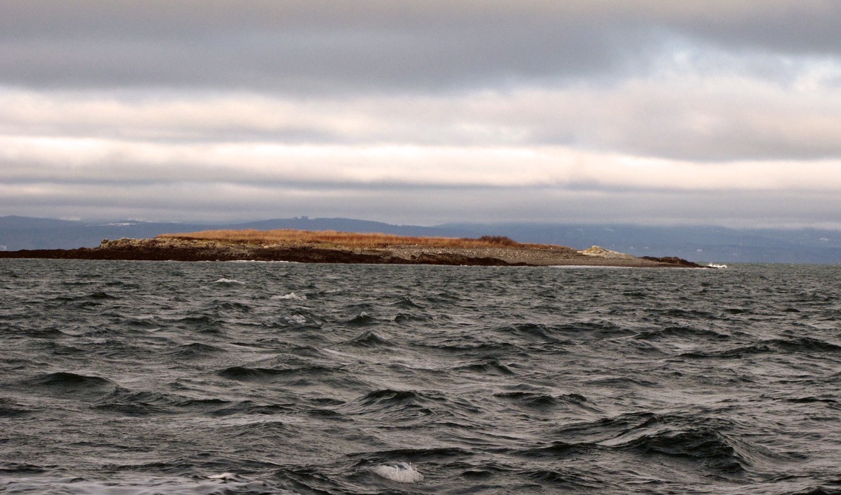 A small island near North Haven.