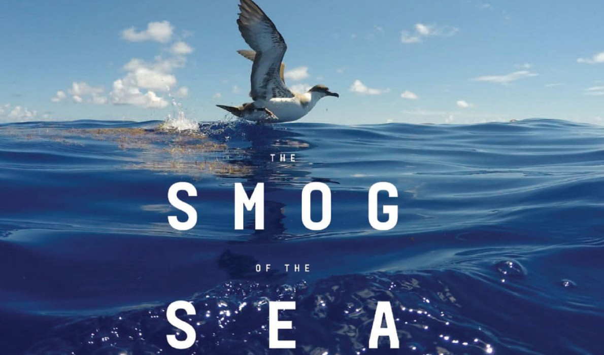 Smog of the Sea