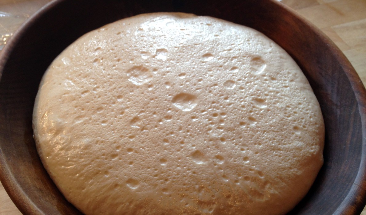 Sourdough doing its bubbling thing.