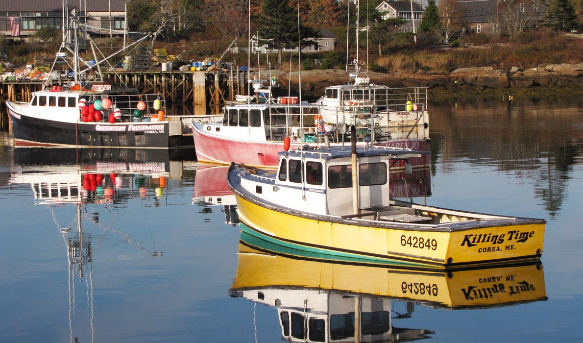 Lobster boats moored in Corea Harbor.